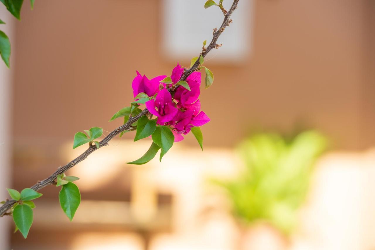 Villa Maria 2 โตโรนี ภายนอก รูปภาพ
